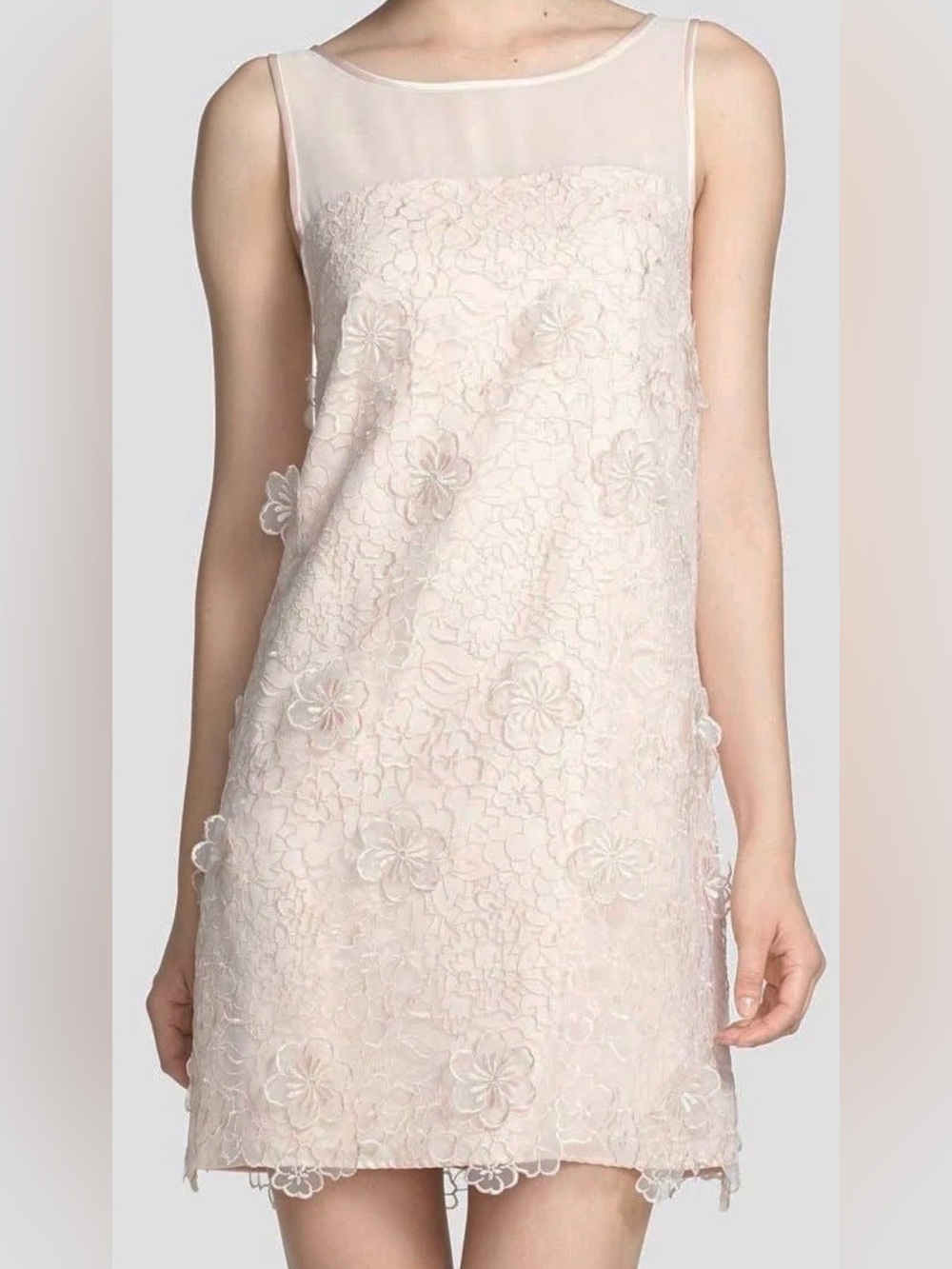 ERIN Fetherston Faye Embroidered Organza Pale Pink Shift Dress Size 0 NWOT